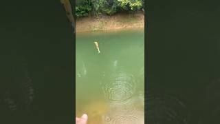 Fishing #lurefishing