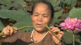 Fabric of success: how 'lotus silk' is weaving its way into Vietnam | AFP