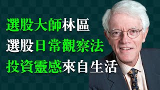 【選股大神】彼得林區：手把手教你選股。他選的股票，年複合獲利29%。林奇|Peter Lynch|《選股策略》|《彼征服股海》|《學以致富》