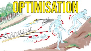 Optimisation applied to Skeletons, Climbing and Rowing