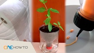 3 easy DIY crafts using plastic bottles