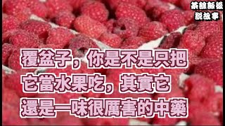 【小霞・家味美食】 覆盆子，你是不是只把它當水果吃，其實它還是一味很厲害的中藥