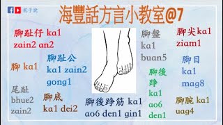 《海豐話方言小教室》（鶴佬話) 海豐話方言7 @人體結構--腳部(上）@學習海豐話/鶴佬話/粵語/普通話@學語言