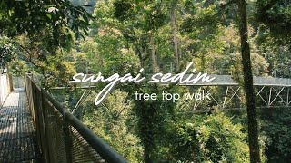 a walk in nature🌿 | Sungai Sedim Tree Top Walk