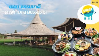 ชะตาธรรมชาติ คาเฟ่เก๋ อาหารอร่อย ท่ามกลางทุ่งนา ที่นครปฐม