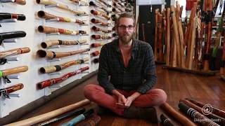 Didgeridoo Buyers Guide - Timber - 6 of 10