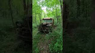 Haunted School Bus #shorts