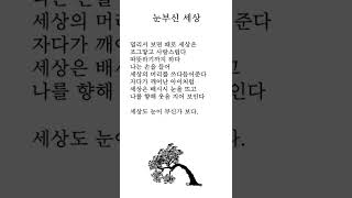 [오늘의 시] '눈부신 세상' | 나태주시 | 시 낭송