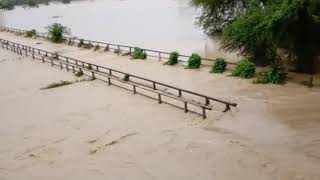 Flood at kamla balan jhanjharpur