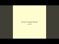 Forest Tranquil Dream