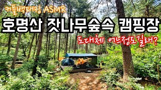 개장 1년만에 백패킹 성지가 된 캠핑장 직접 가봤더니/호명산잣나무숲속캠핑장 명당 소개/백패킹 먹방/캠핑 camping ASMR