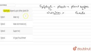 Epiphytes depend upon other plants for