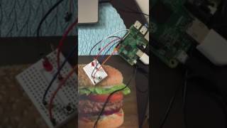Raspberry PI Module 4 Assignment