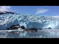 Seward, Alaska: Glacier and Wildlife Cruise