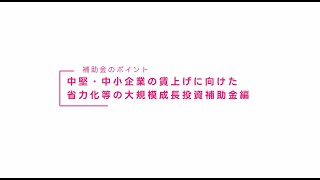 中堅・中小企業の賃上げに向けた省力化等の大規模成長投資補助金