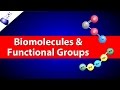 Biomolecules and Functional Groups