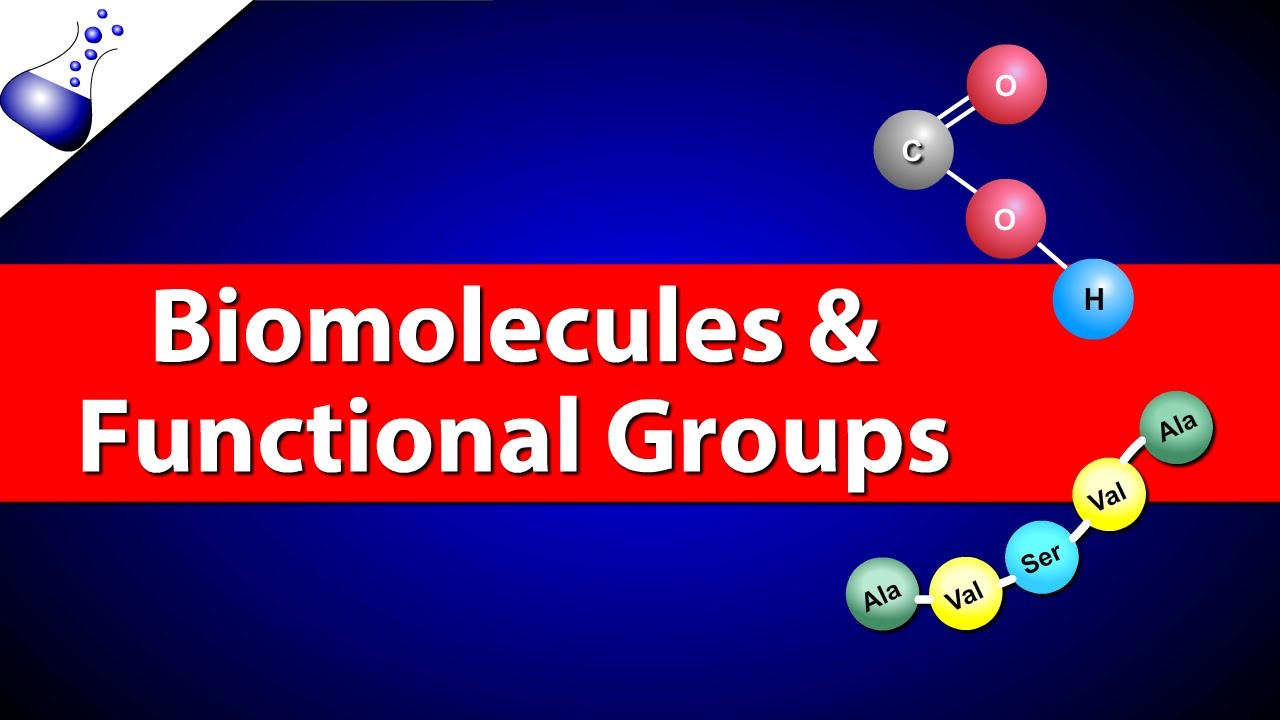 Functional Groups Biology