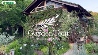 🕊Garden Tour🕊95：元田んぼの広い敷地を土壌改良し、5月はバラが次々と開花し、6月はグラスが美しくなるよう様々な植物を植え替えながら植栽していったお庭