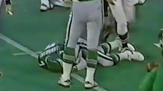 Mike Hartenstine MASSIVE Blindside Hit on Ron Jaworski (Bears vs. Eagles 1980)