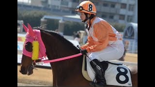 【競馬】藤田菜七子ちゃん、ＪＲＡ女性騎手年間最多勝記録達成！　新潟千直は菜七子ちゃんのためにある！？