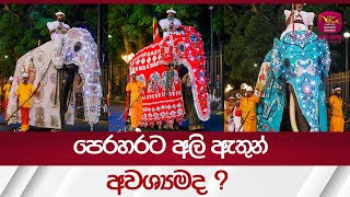 පෙරහරට අලි ඇතුන් අවශ්‍යමද ?|Elephant| Rupavahini News