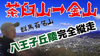 【群馬百名山】茶臼山→金山～八王子丘陵完全縦走欲張りスタイルの巻～