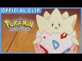 Togepi Hatches! | Pokémon: Indigo League | Official Clip