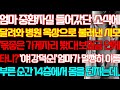 [반전 실화사연] 엄마 중환자실 들어갔단 소식에 달려와 병원 옥상으로 불러낸 시모 몫좋은 가게자리 봤다 보험금 언제타니 엄마가 멀쩡히 이름 부른순간 14층에서 떨어지는데/신청사연