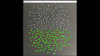Use OpenCV to count rice(s)