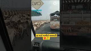 કચ્છડો બારે માસ #saybo #roadtrip #shorts #youtube #subscribe ❤️❤️🙏