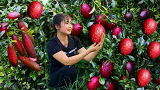 Harvest Blue Wild Pineapple Goes To Market Sell | Gardening And Cooking | Lý Song Ca