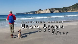 HIKING IN JAPAN - Katsuura - Chiba Prefecture - 🐶 鵜原理想郷 🐶