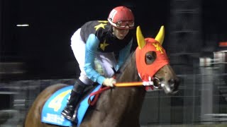 【４Ｋ現地撮影】２０１９年１１月１９日川崎競馬９Ｒヤングジョッキーズシリーズトライアル川崎第２戦＆藤田菜七子騎手８着