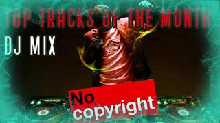 Copyright Free EDM Music - This Months TOP Tracks - All W/ No Copyright!