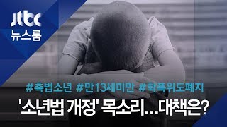 잔혹해지는 10대 범죄…'만 14세부터 형사처벌' 추진한다