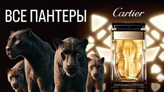 ВСЯ КОЛЛЕКЦИЯ ПАРФЮМОВ Panthere Cartier. Женственные шипры для независимых и грациозных.