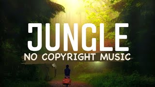 DayFox - Jungle 🎵 [No Copyright] Copyright Free Background Music | Gaming | Vlogging Music - NCS
