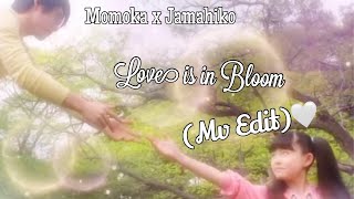 Magic x Warrior MagiMajo Pures| Momoka Aino x Jamahiko MV Edit (Love Is In Bloom, FANMADE)