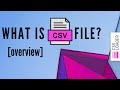 What is CSV file (overview)