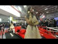 【vr180 3d】大阪モーターショー2019 4日 美人キャンギャル osaka motor show 2019 4th day beautiful campaign girl camgal 204