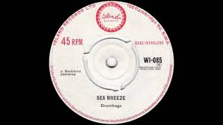 Drumbago - Sea Breeze