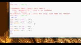Python Tutorial #19 - Converting Variables