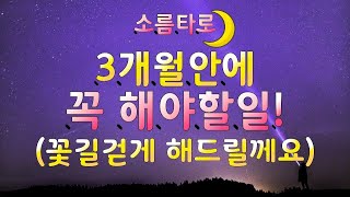 [타로/타로점]3개월안에해야할일