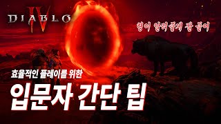 디아블로4 입문자를 위한 간단 팁 효율적으로 플레이하자! Diablo 4 Simple Guide for Starter PS5 60fps