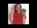 Singing Hands: #MakatonMonday 2016 #37 - BROCCOLI - in Makaton