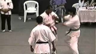 SHOTOKAN vs KYOKUSHIN karate KO