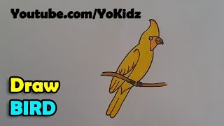 How to draw a Bird easy
