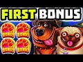 THE DOG HOUSE MEGAWAYS 🐶 SLOT 4 SCATTERS 🔥 ON MY FIRST BONUS BUY‼️