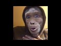 #RaefMask So Real