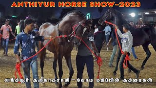 தெறிக்கவிட்ட குதிரைகள் அசந்து போன பார்வையாளர்கள் - Anthiyur Horse show 2023  & Horse Market | Ghoda